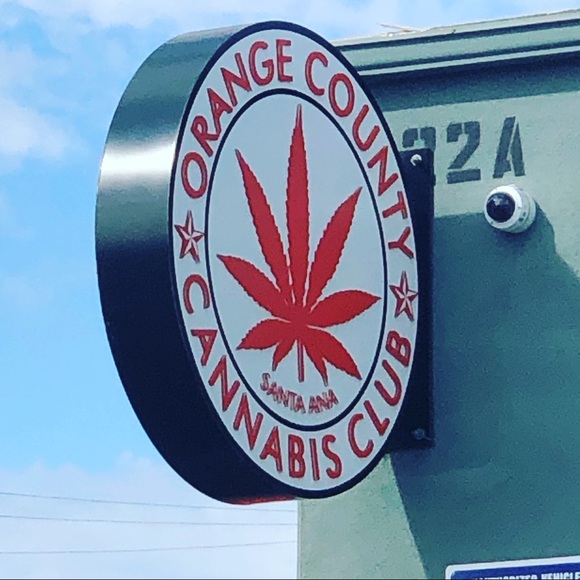 Meet your Posher, Tim - Picture 2 of 4